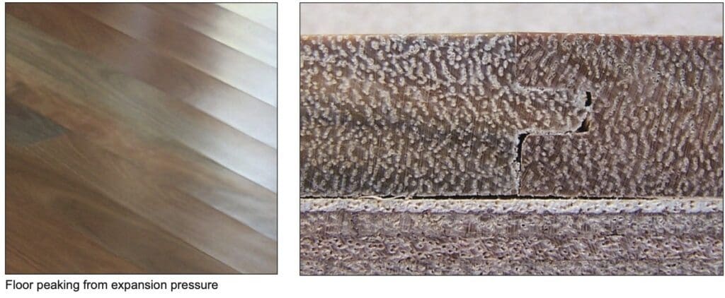 Screenshot 2022 12 14 at 5.29.31 pm