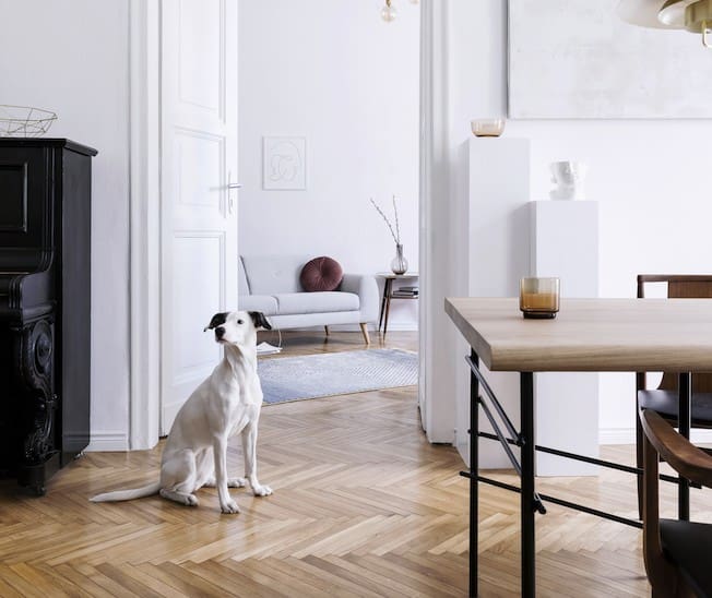 Screenshot 2023 04 04 at 3.41.14 pm