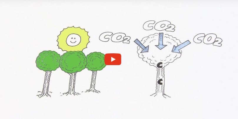 Screenshot 2023 07 26 at 9.09.06 am